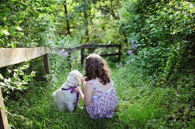 Can Puppies Wear Harnesses All The Time: Is It Safe?