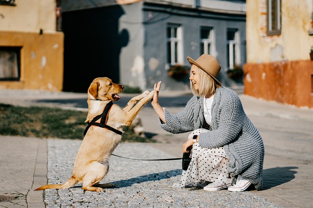 How Long Can A Puppy Go Without Eating