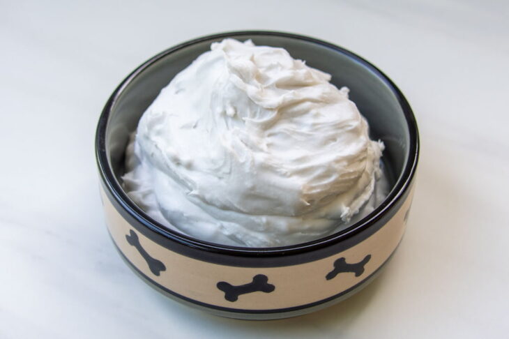 Is Whip Cream Bad for Dogs? Can Dogs Eat Whipped Cream? - Better Doggy