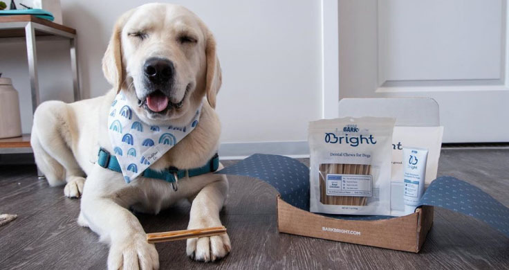 Bark Bright Dental Kit Reviews All You Want to Know [2023]