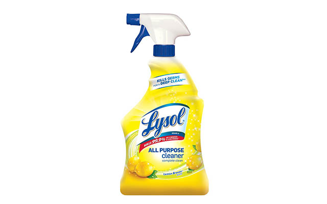 Does Lysol Kill Fleas All You Want to Know