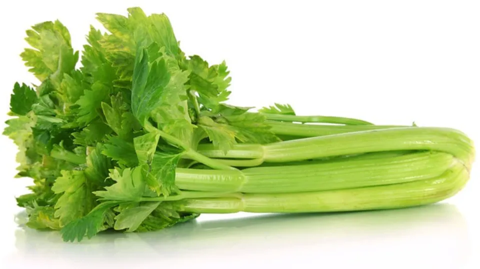 Can Dogs Eat Celery?​ Is It Safe?